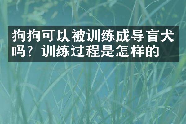 狗狗可以被训练成导盲犬吗？训练过程是怎样的？