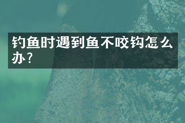 钓鱼时遇到鱼不咬钩怎么办？