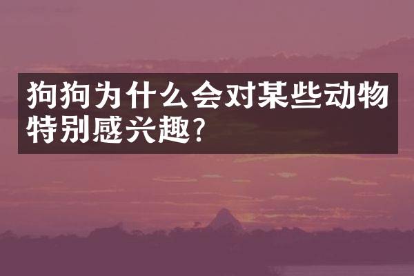 狗狗为什么会对某些动物特别感兴趣？