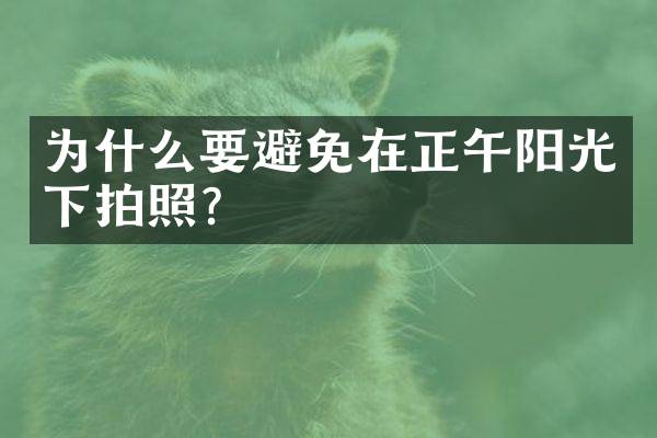 为什么要避免在正午阳光下拍照？