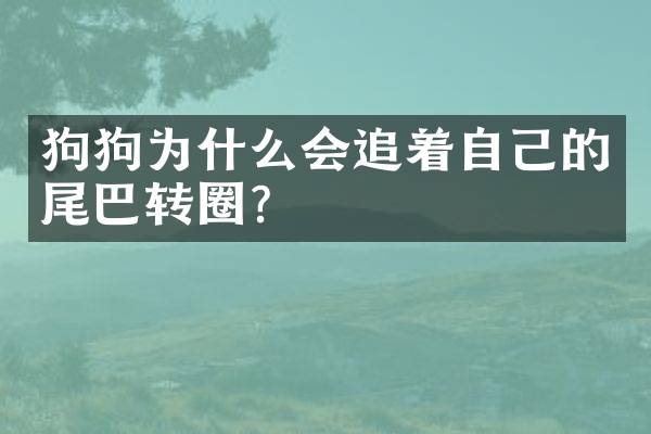 狗狗为什么会追着自己的尾巴转圈？