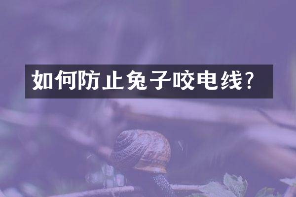 如何防止兔子咬电线？