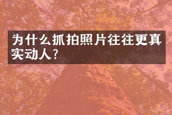 为什么抓拍照片往往更真实动人？