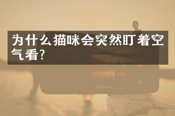 为什么猫咪会突然盯着空气看？