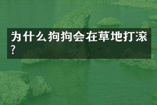 为什么狗狗会在草地打滚？