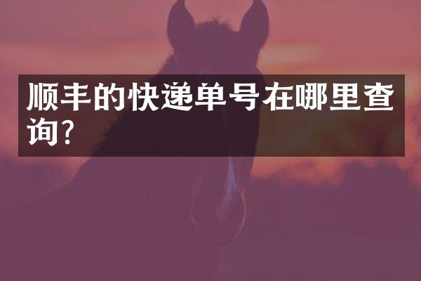 顺丰的快递单号在哪里查询？