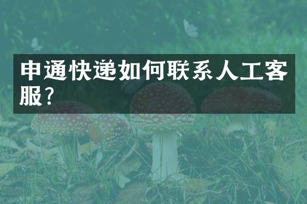 申通快递如何联系人工客服？