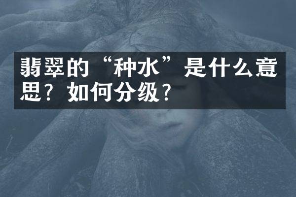 翡翠的“种水”是什么意思？如何分级？