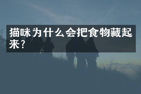 猫咪为什么会把食物藏起来？