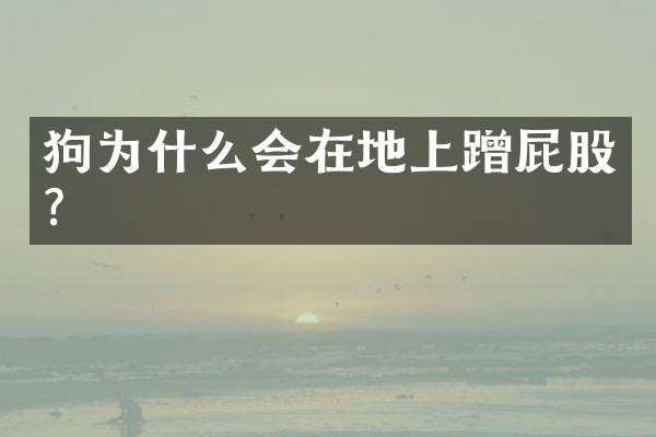 狗为什么会在地上蹭屁股？