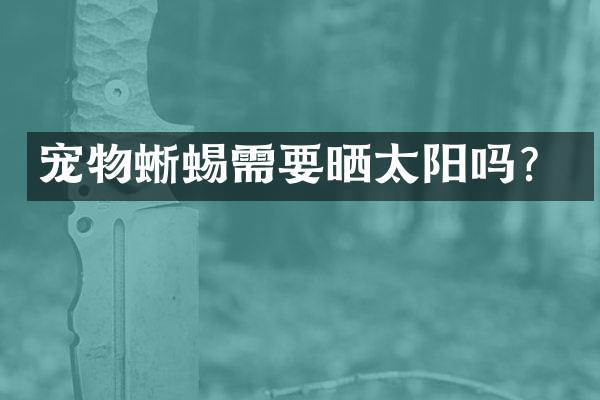 宠物蜥蜴需要晒太阳吗？