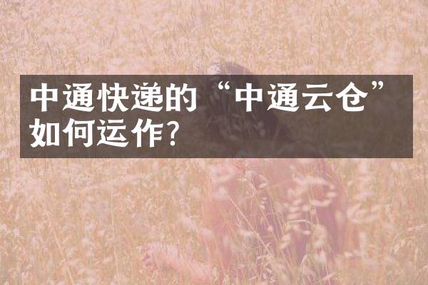 中通快递的&ldquo;中通云仓&rdquo;如何运作？