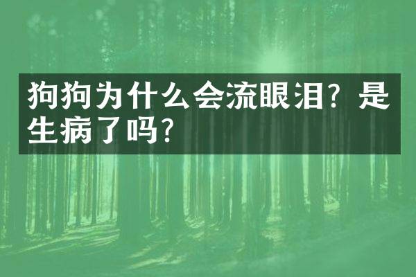 狗狗为什么会流眼泪？是生病了吗？