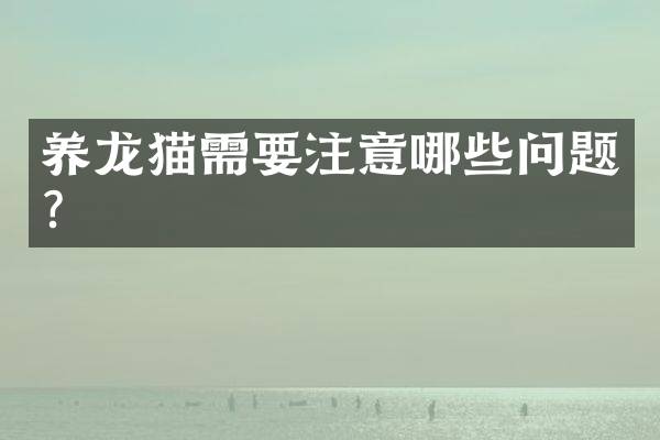 养龙猫需要注意哪些问题？