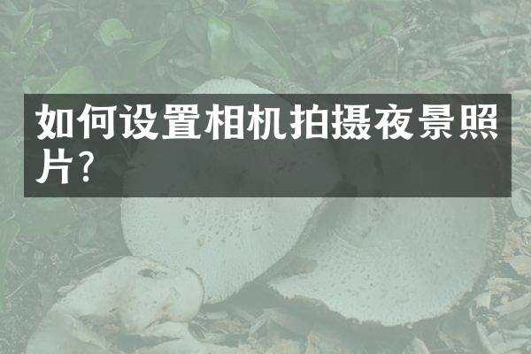 如何设置相机拍摄夜景照片？