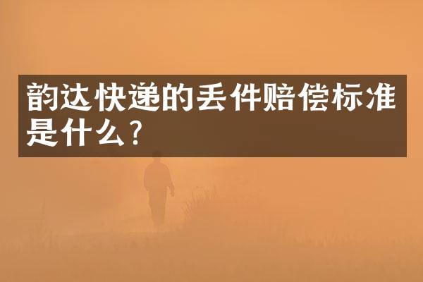 韵达快递的丢件赔偿标准是什么？
