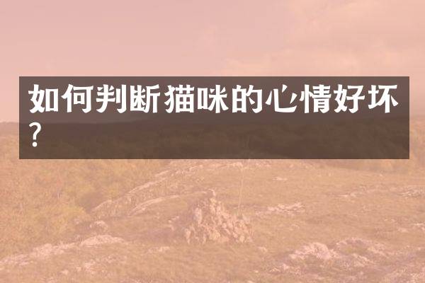 如何判断猫咪的心情好坏？