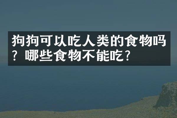 狗狗可以吃人类的食物吗？哪些食物不能吃？