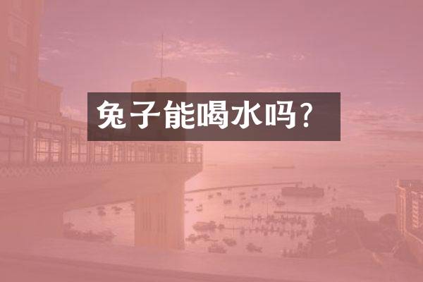 兔子能喝水吗？