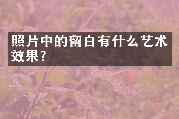 照片中的留白有什么艺术效果？