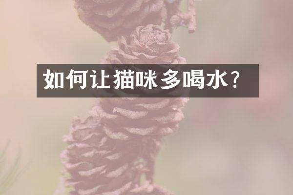 如何让猫咪多喝水？