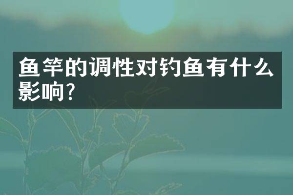 鱼竿的调性对钓鱼有什么影响？