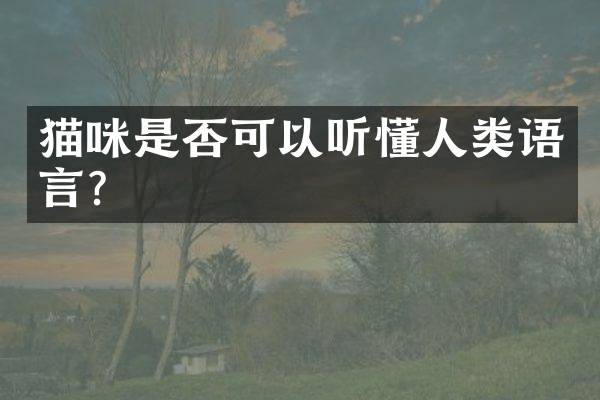 猫咪是否可以听懂人类语言？