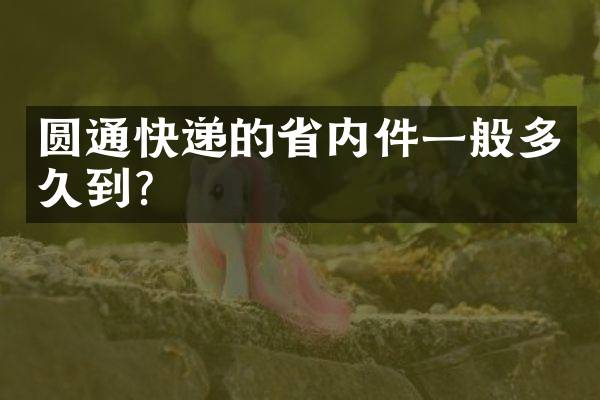 圆通快递的省内件一般多久到？