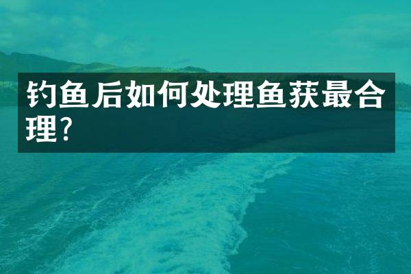 钓鱼后如何处理鱼获最合理？