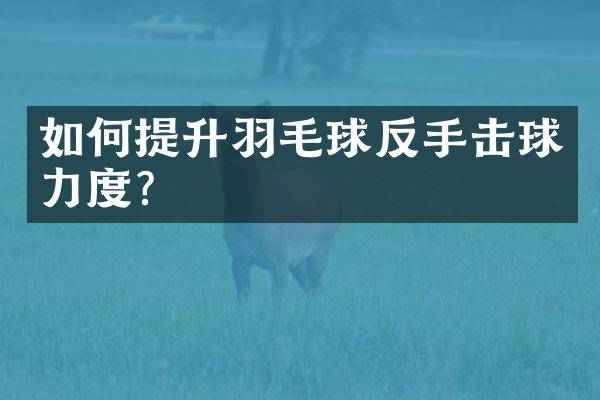 如何提升羽毛球反手击球力度？