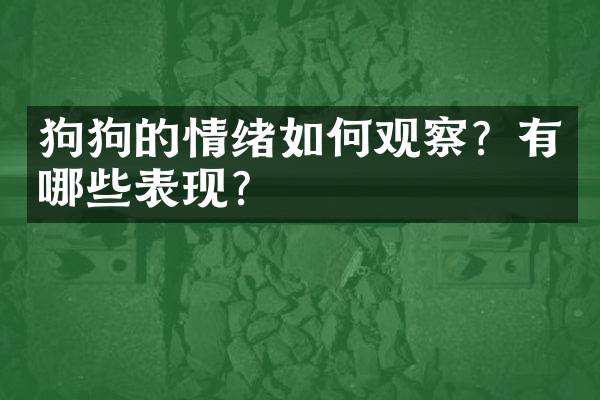 狗狗的情绪如何观察？有哪些表现？
