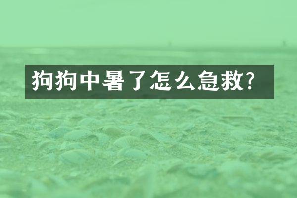 狗狗中暑了怎么急救？