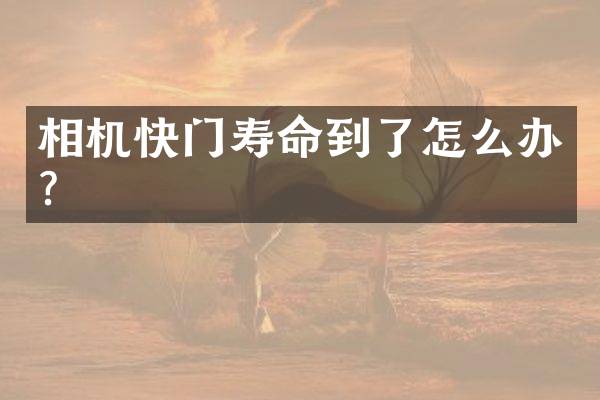 相机快门寿命到了怎么办？