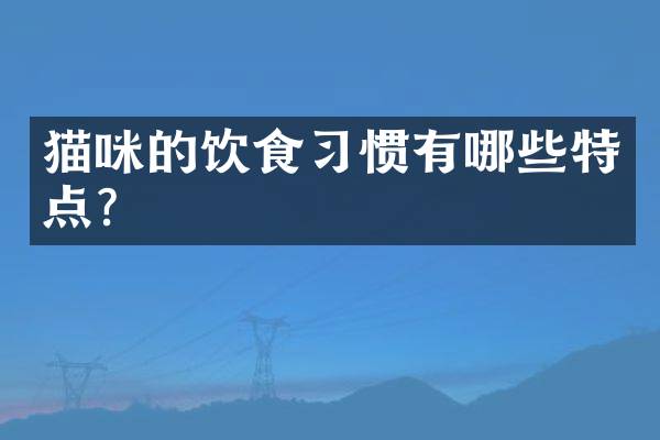 猫咪的饮食习惯有哪些特点？