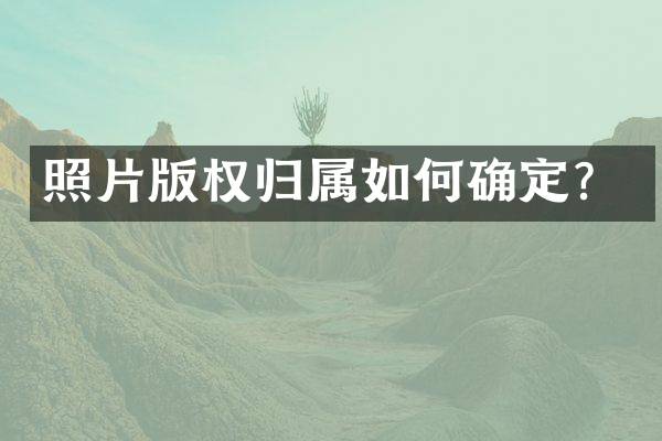 照片版权归属如何确定？