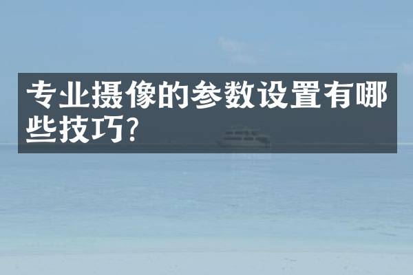 专业摄像的参数设置有哪些技巧？