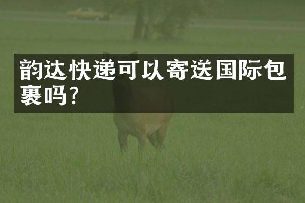 韵达快递可以寄送国际包裹吗？
