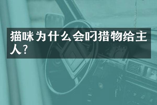 猫咪为什么会叼猎物给主人？