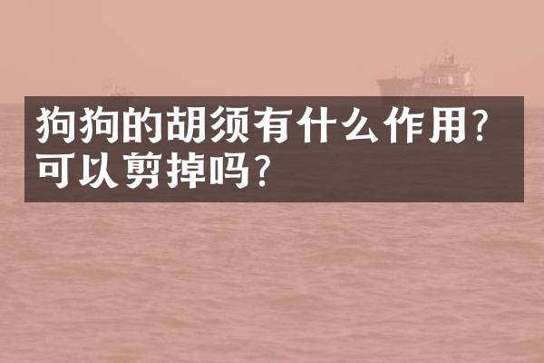 狗狗的胡须有什么作用？可以剪掉吗？