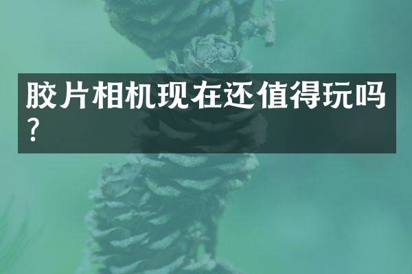 胶片相机现在还值得玩吗？