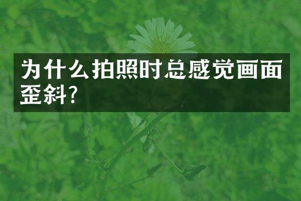 为什么拍照时总感觉画面歪斜？