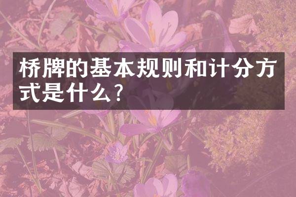 桥牌的基本规则和计分方式是什么？