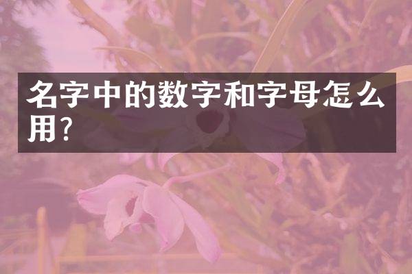 名字中的数字和字母怎么用？