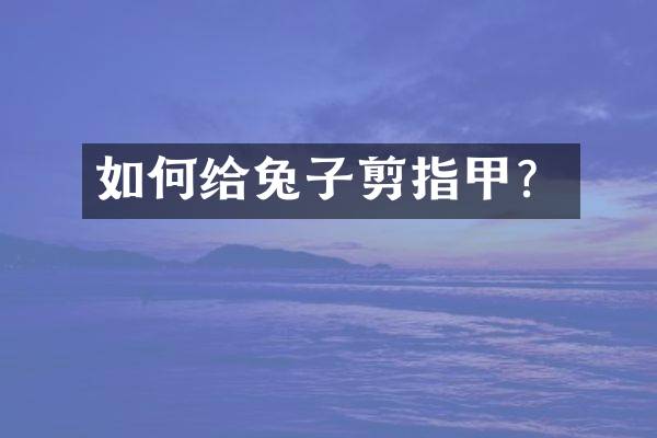 如何给兔子剪指甲？