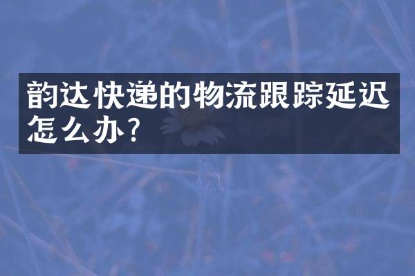 韵达快递的物流跟踪延迟怎么办？
