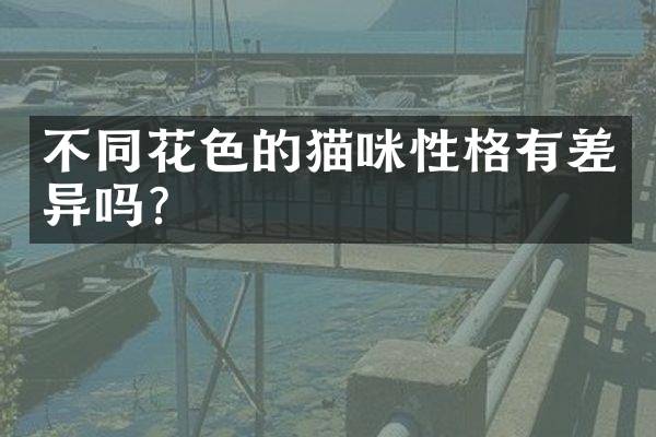 不同花色的猫咪性格有差异吗？