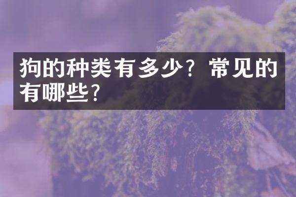 狗的种类有多少？常见的有哪些？