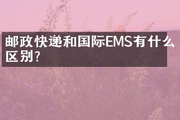 邮政快递和国际EMS有什么区别？