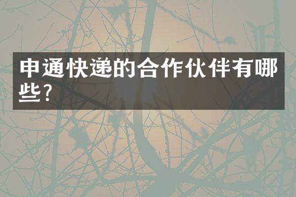 申通快递的合作伙伴有哪些？