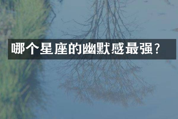 哪个星座的幽默感最强？